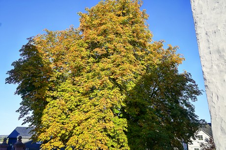Bad Berleburg